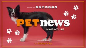 PetNews Magazine – 7/5/2024