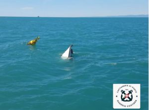 Fiumicino, affonda imbarcazione: tre diportisti salvati dalla Capitaneria di Porto