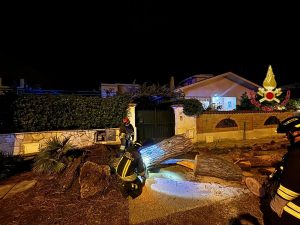 Santa Marinella – Fuga di gas provocata dalla caduta di un pino