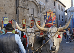 Viterbo – Torna la Processione del Santissimo Salvatore, attenzione ai divieti