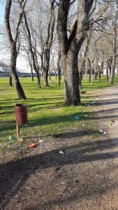 Civita Castellana, chiusura del bosco Primo Maggio per disinfestazione