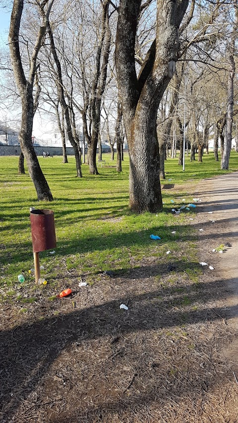 Civita Castellana, chiusura del bosco Primo Maggio per disinfestazione