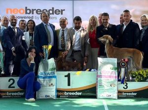 54° Esposizione canina a Viterbo, best in show il bassotto kaninchen