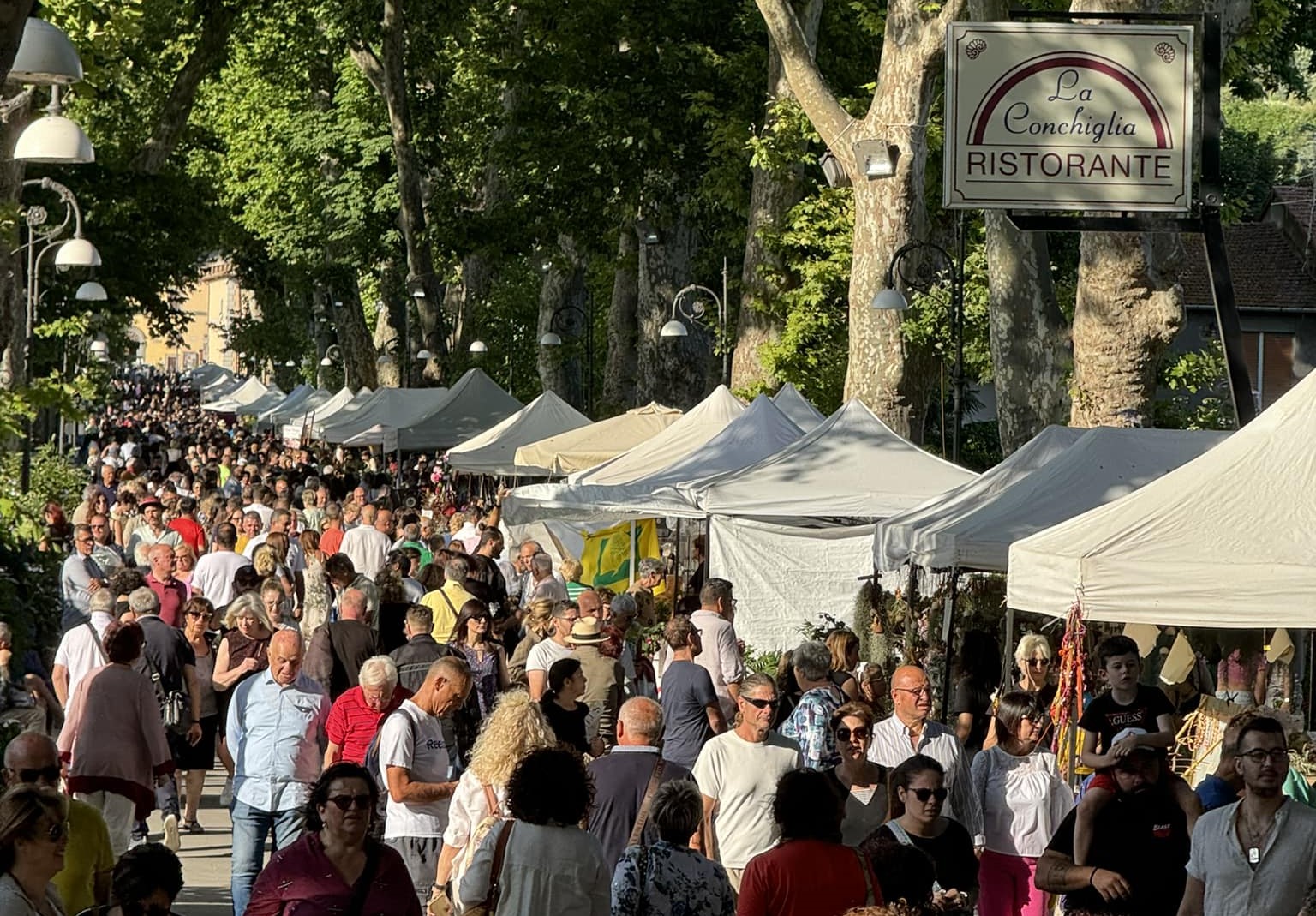 Bolsena, ondata di turisti per la Festa delle ortensie: parcheggi e ristoranti sold out