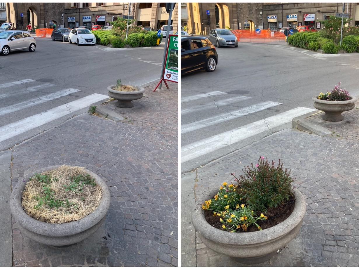 Viterbo – Piazza della Rocca, al verde ci pensano i volontari: nuovi fiori, tombini puliti ed erba tagliata