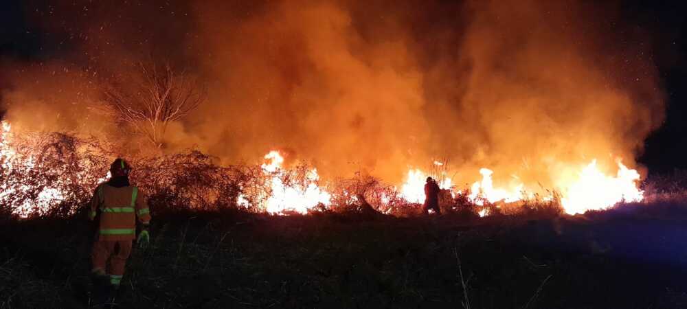 Nuovo incendio a Cerveteri: va a fuoco terreno agricolo a Via del Lentisco