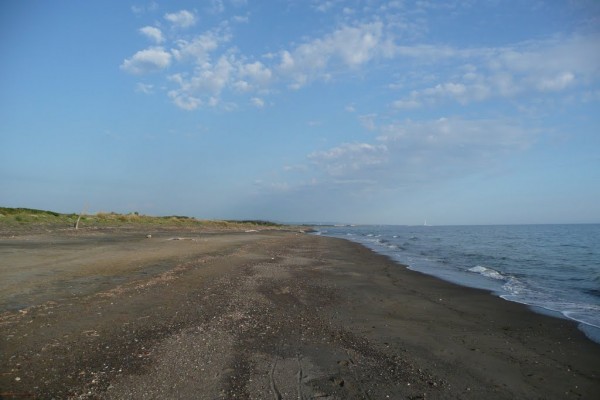 Tarquinia – Trovato cadavere di un uomo spiaggiato in località Spinicci