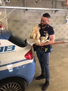 #senontiportononparto: la Polizia in campo contro l’abbandono degli animali