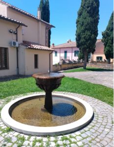 Taglio selvaggio di alberi a Tuscania: “Dal 2015 oltre un centinaio quelli abbattuti”