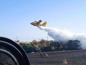 Cerveteri, incendio devastante a Castel Campanile: rogo domato dopo oltre 24 ore (FOTO)
