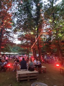 Lariano – Al via BoscodiVino, chef e sommelier tra la natura