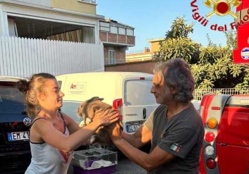 Santa Marinella, incendio a Via delle Colonie: Vigili del Fuoco salvano coniglietto