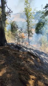 Ancora fuoco a Cerveteri, brucia la macchia mediterranea sulla Doganale