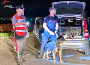 Montalto, operazione contro la malamovida congiunta con reparti speciali: identificate 150 persone