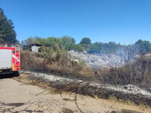 A fuoco cinque ettari di terreno a Sutri, salvati quattro cavalli