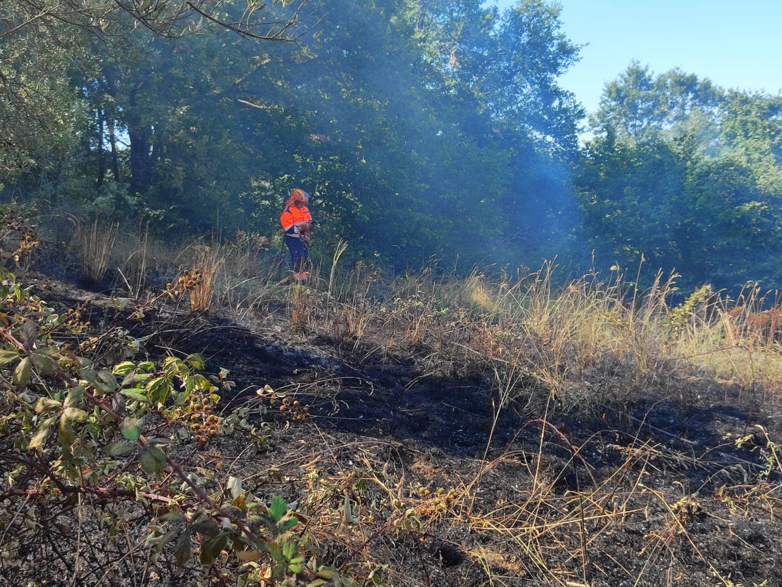 Bolsena – Incendio in località Montienzo: “Siamo al sesto incendio stagionale”
