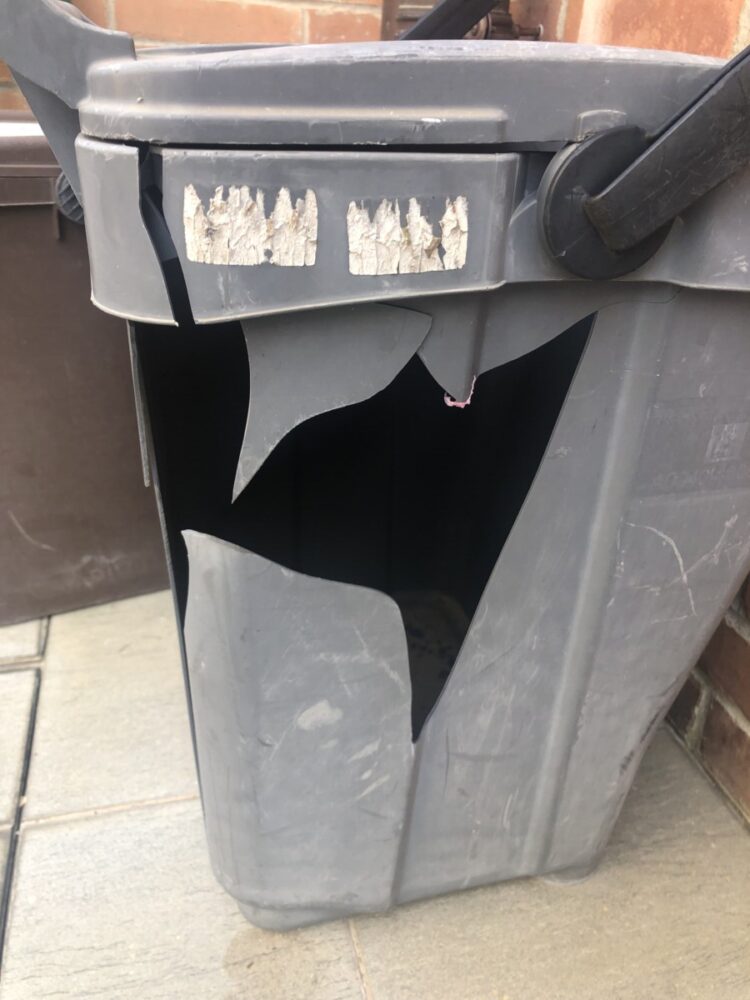 Montalto Marina – Secchi dell’immondizia presi a calci nella notte, vacanzieri inferociti