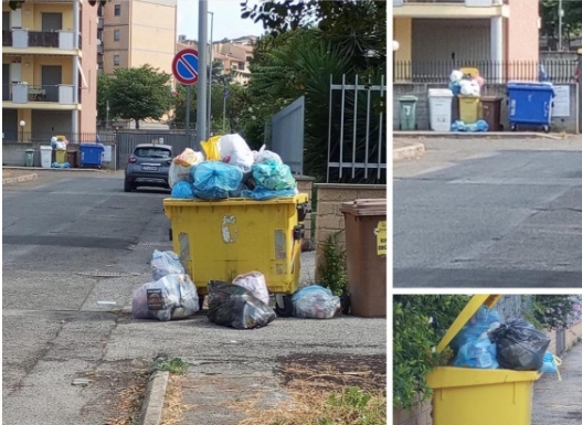 Tarquinia Lido invasa dai rifiuti e l’erba alta