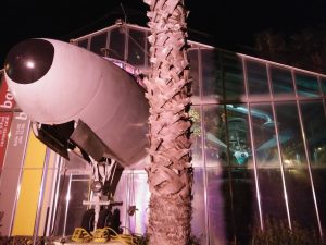 Fiumicino, incendio distrugge l’ex Ristoaereo