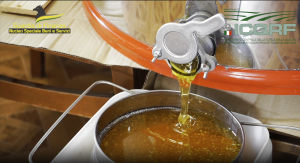 Nucleo speciale beni e servizi della Guardia di Finanza ha sequestrato 356 tonnellate di miele irregolare