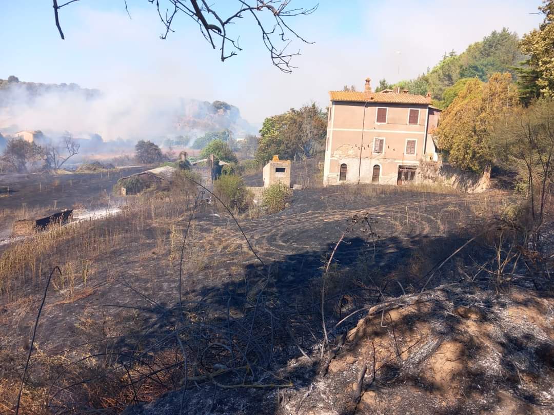 Tuscania – Enorme incendio sfiora la cartiera, devastazione ora verso il sughereto