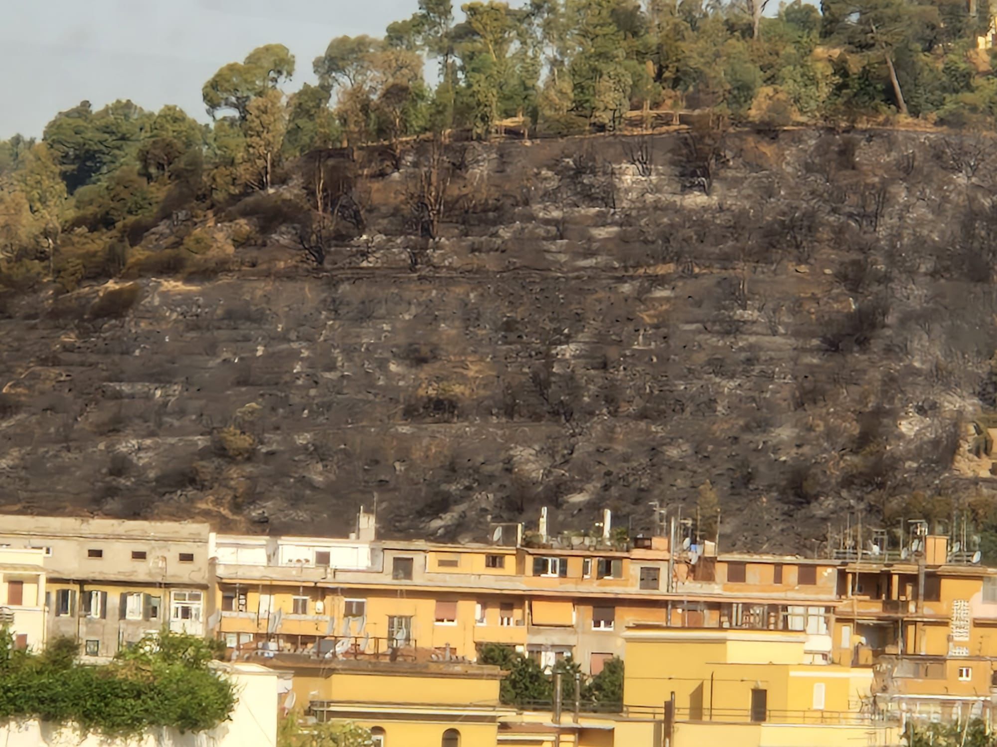 Incendio Monte Mario, Santori: “Città devastata, Gualtieri si dimetta”