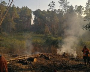 Acquapendente – Incendio nel parco di Monte Rufeno, massiccio intervento dei vigili del fuoco