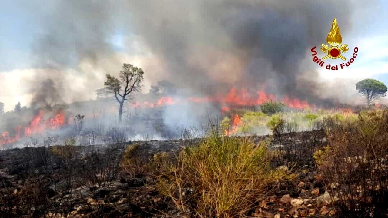 Devastante incendio a Priverno: in fumo 90 ettari di vegetazione