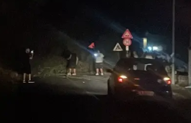 Cerveteri, cade albero sulla Doganale: sfiorata la tragedia