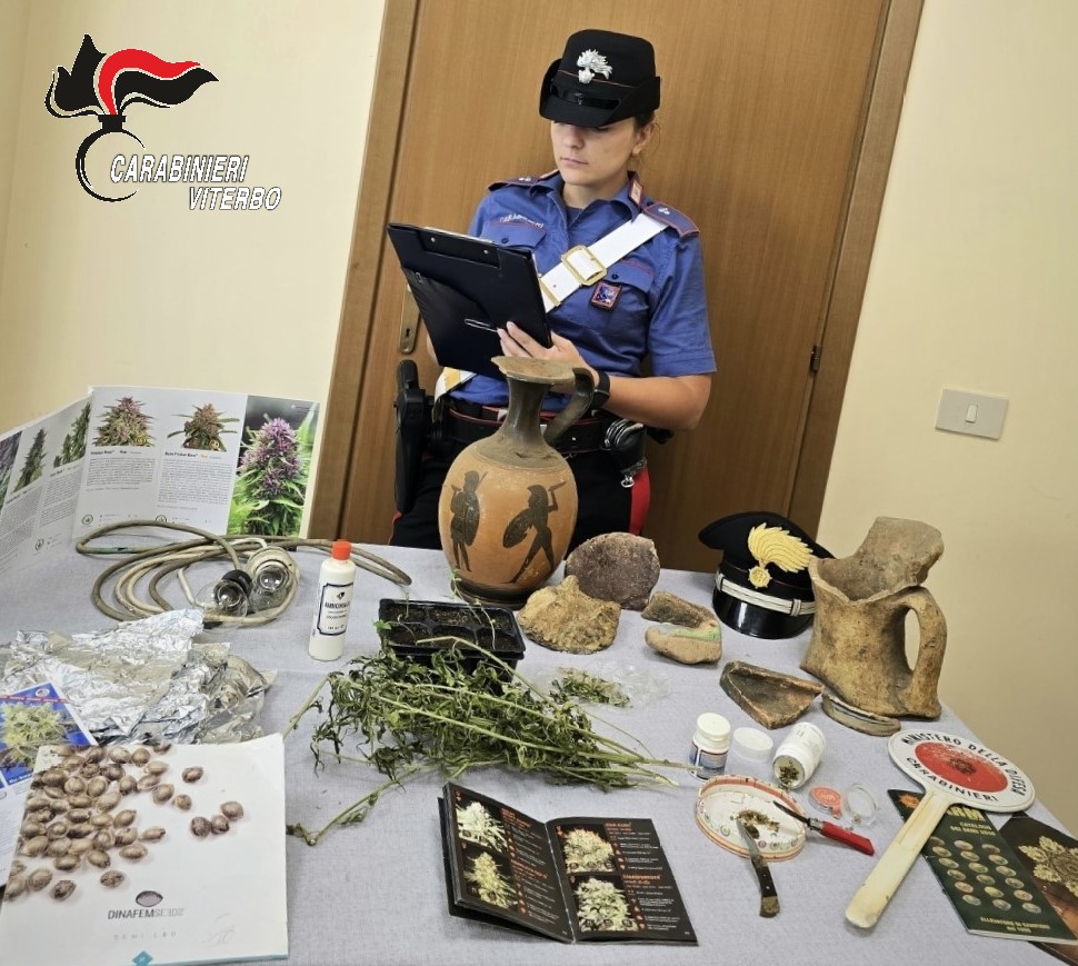 Faleria, serra di marijuana nell’armadio e reperti archeologici in casa: denunciati due cinquantenni