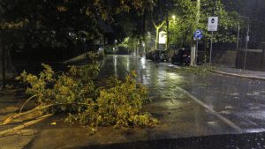 Albano, maltempo flagella la città: nella notte alberi caduti e strade allagate