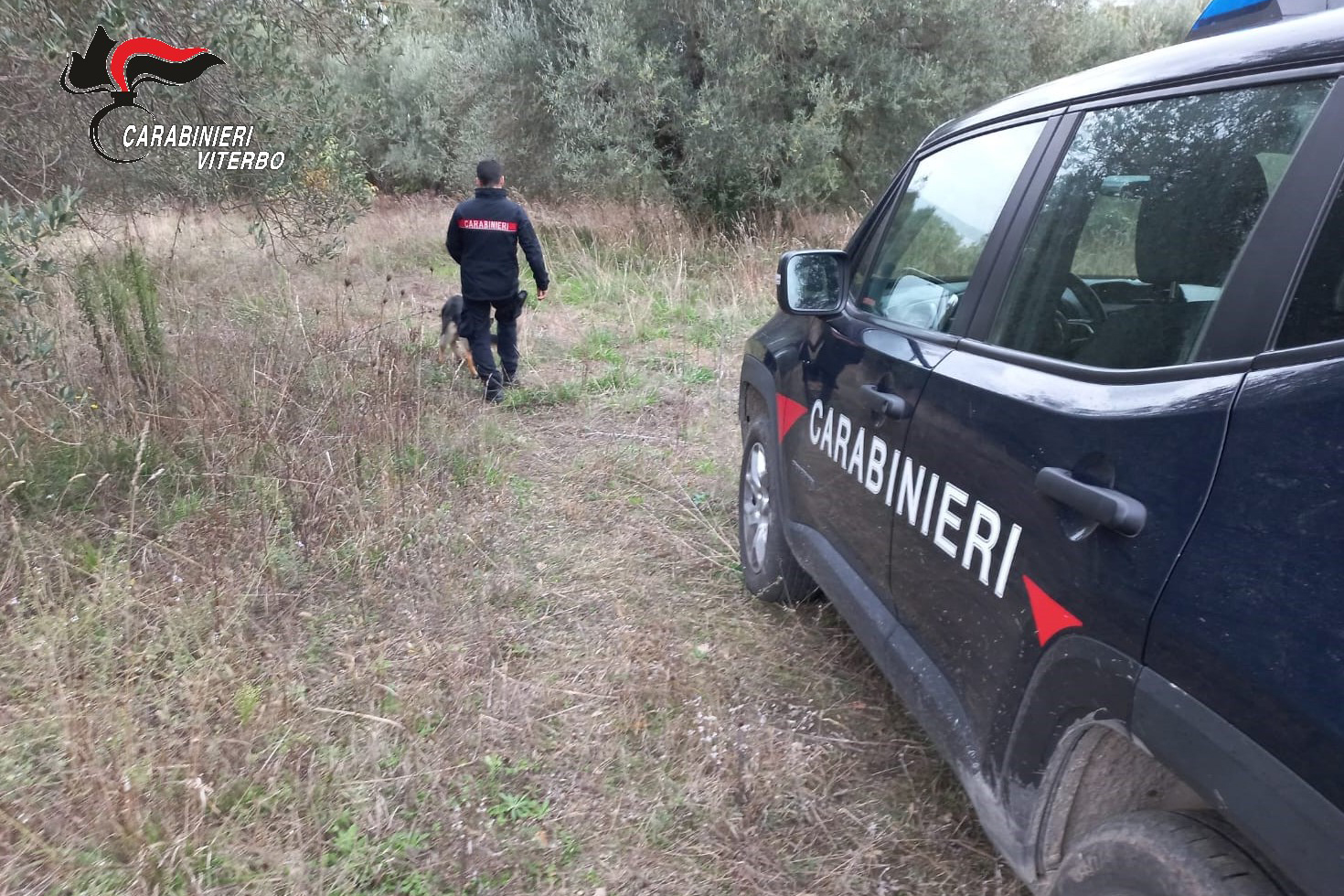 Tuscania – Smantellata piazza di spaccio in un bosco di località Il Cerro, arrestati due marocchini