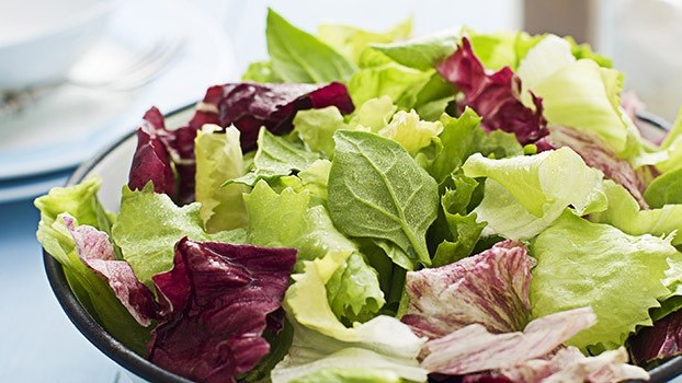 Allarme Listeria, nuovo ritiro di insalata: ecco i marchi coinvolti