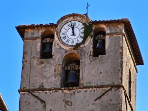 Viterbo – Il campanile di San Sisto come il bosco verticale di Boeri: piante, crepe e degrado da oltre due anni