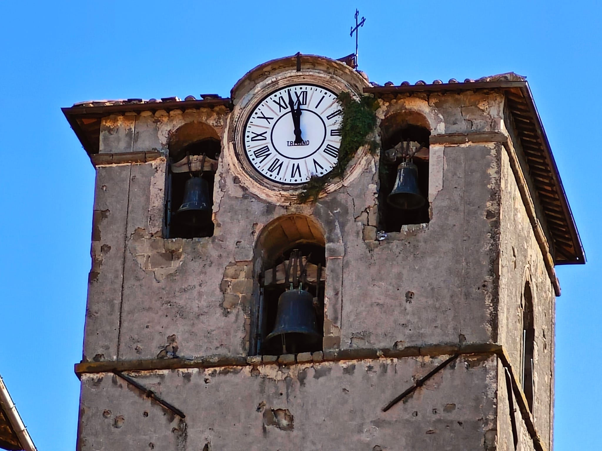 Viterbo – Il campanile di San Sisto come il bosco verticale di Boeri: piante, crepe e degrado da oltre due anni