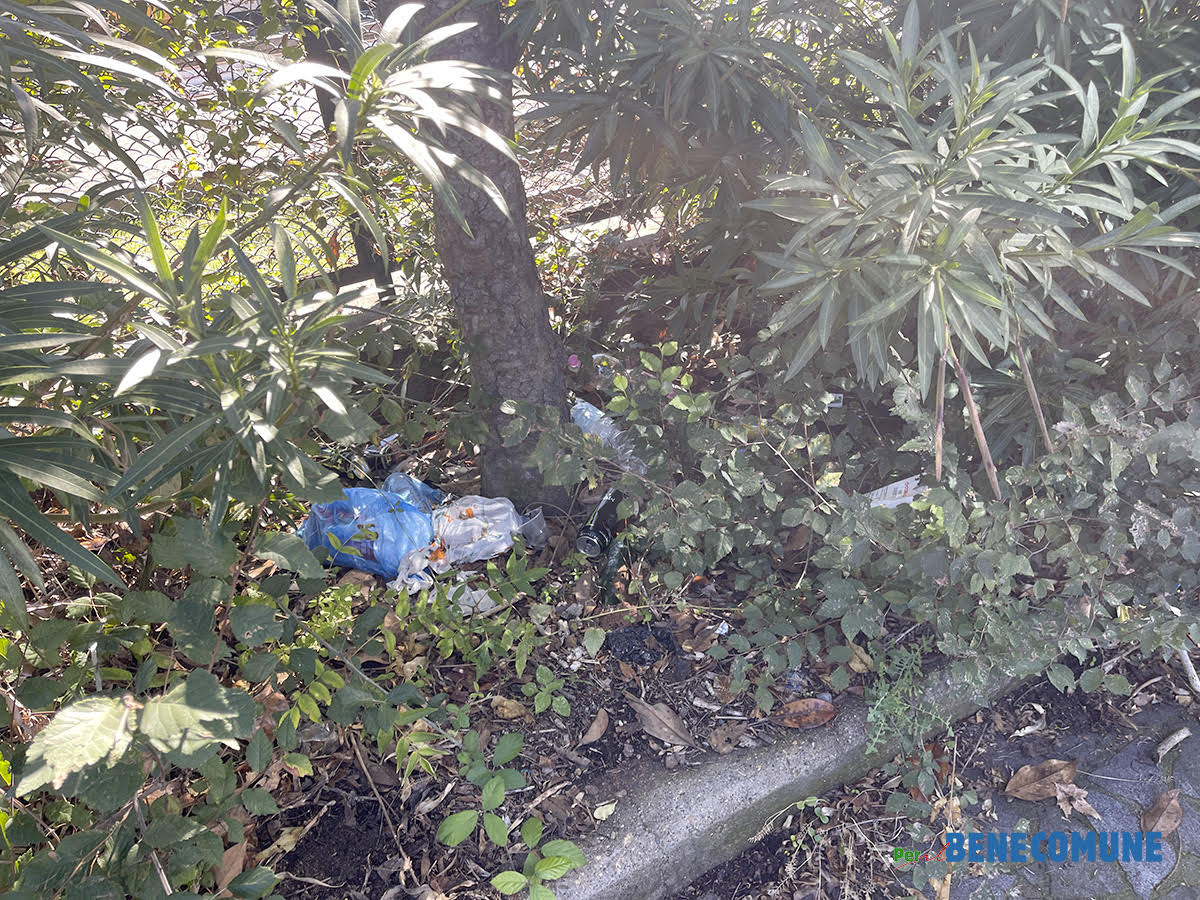 Viterbo – La denuncia della consigliera Ciambella: “Viale Romiti nel degrado, è inaccettabile”