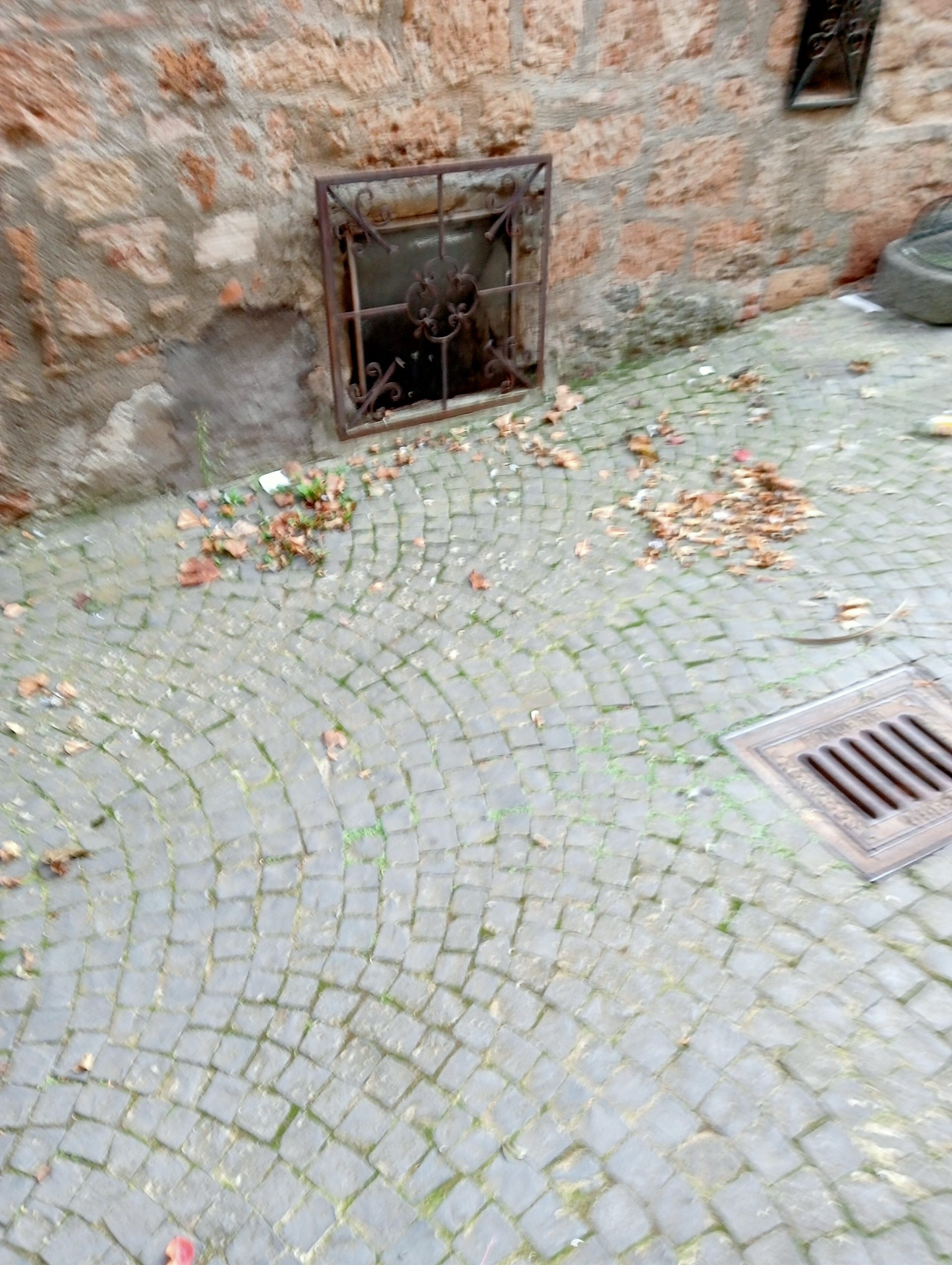 Acquapendente – Vicolo Stella sporco e abbandonato, la segnalazione dei cittadini