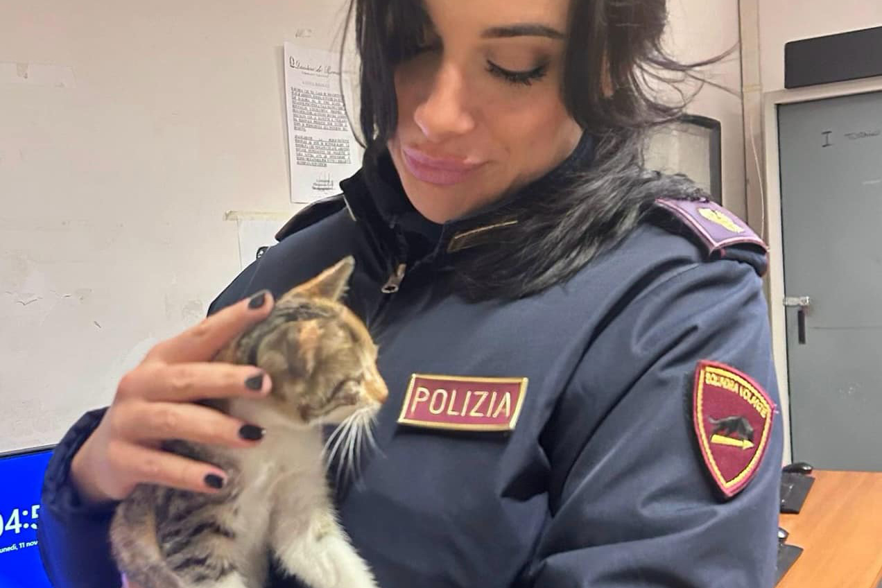 Ostia – La polizia salva una gattina bloccata in mezzo alla strada, uno degli agenti la adotta