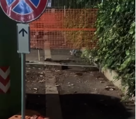 Roma – Dai lavori emerge colonia di topi, il video virale indigna i cittadini: “Mo’ arriva la peste”