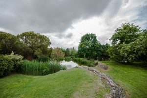 Viterbo – L’Orto botanico ospita un’iniziativa per la giornata nazionale del Parkinson