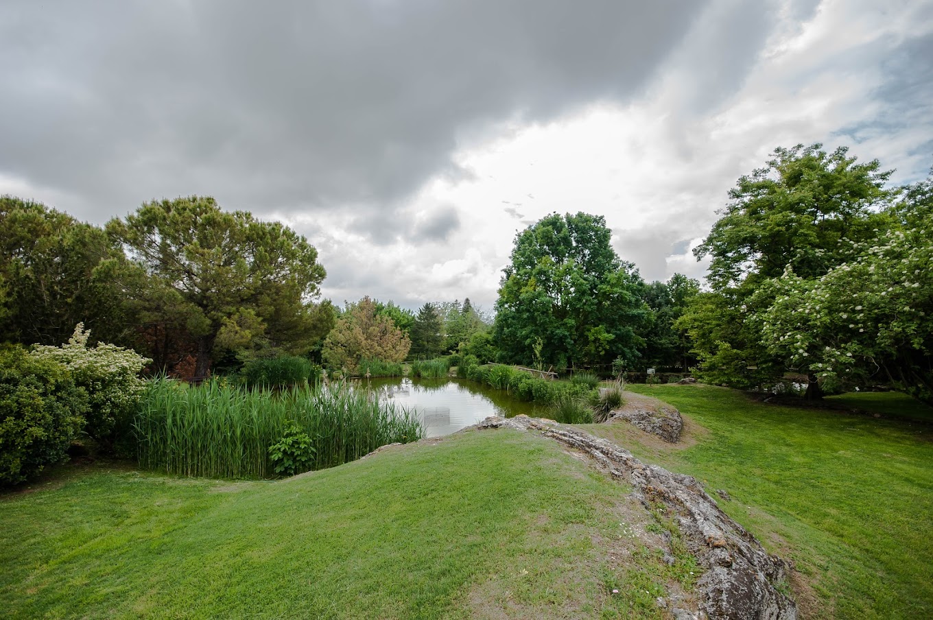 Viterbo – L’Orto botanico ospita un’iniziativa per la giornata nazionale del Parkinson