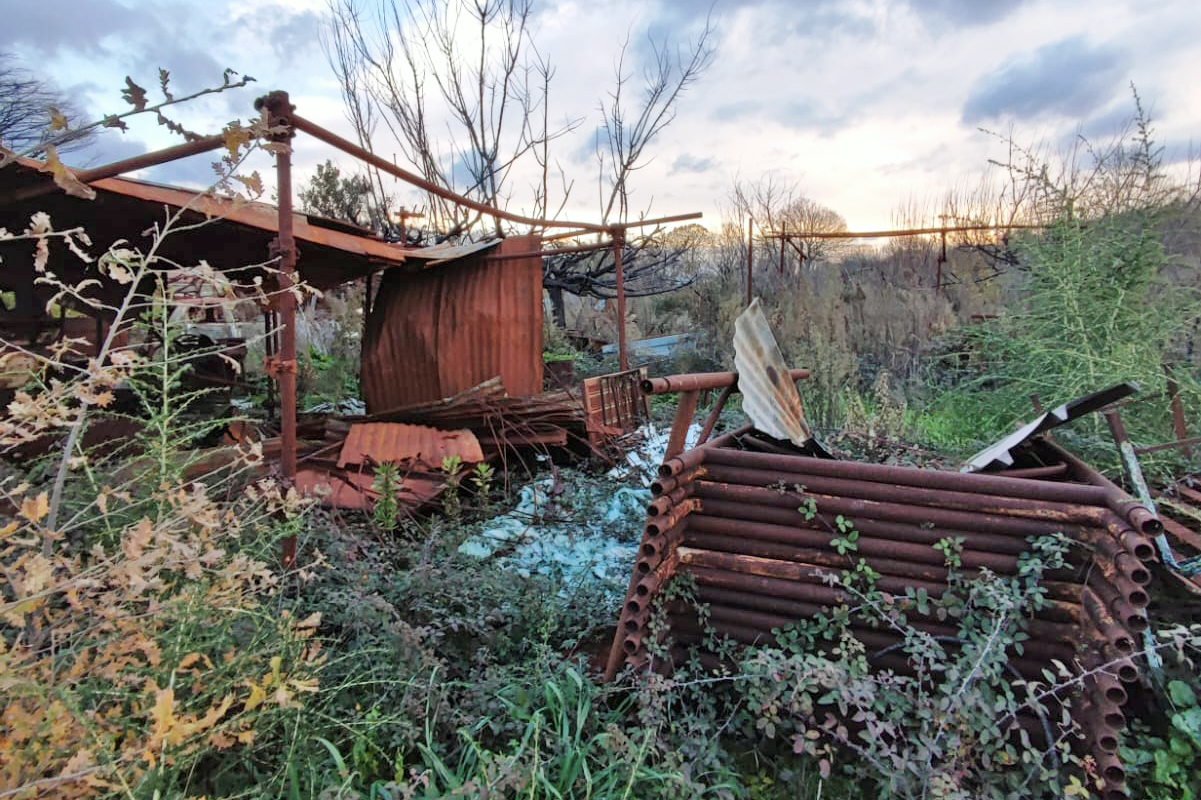 Bassano Romano – La polizia locale: “Difficile che una 93enne in carrozzina abiti in un prato”