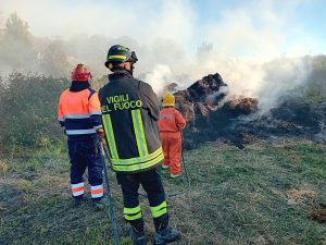 Tarquinia – Incendio lungo l’Aurelia bis (FOTO)