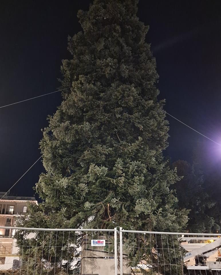 Roma – Natale: al via l’allestimento dell’albero a piazza del Popolo