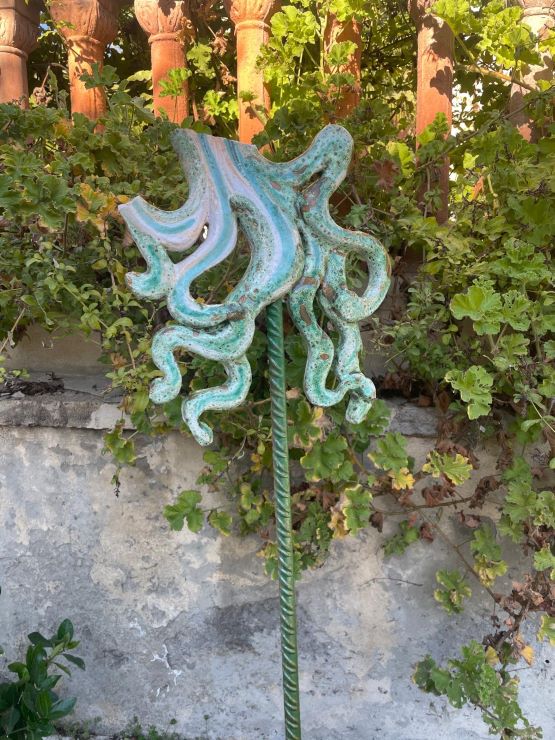 Santa Marinella, aiuole vandalizzate sull’Aurelia: caccia ai responsabili