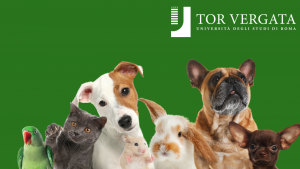 Al via il primo corso di medicina veterinaria nel Lazio: “Una grande notizia per tutto il mondo agroalimentare”