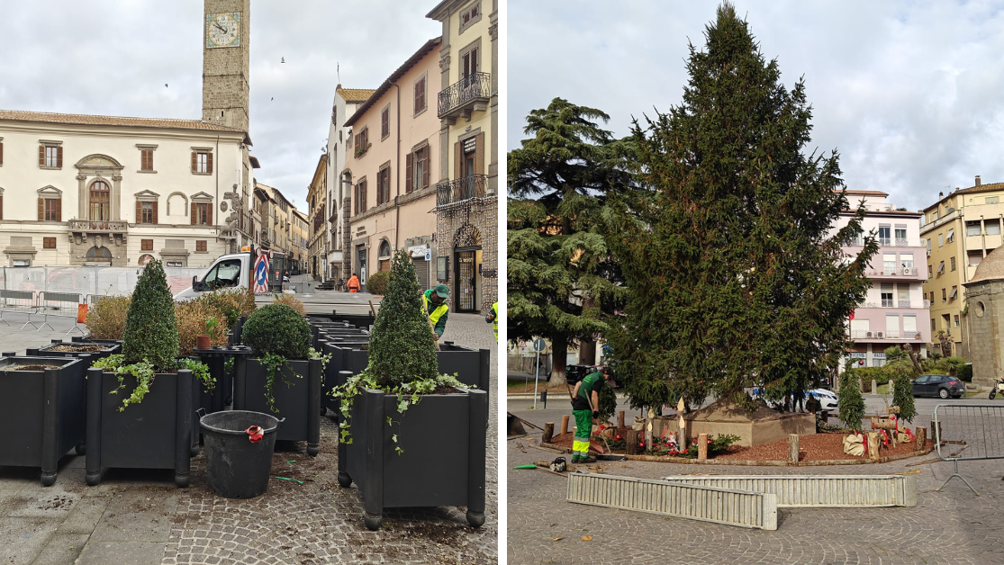 Viterbo – Natale, Piazza del Comune si tinge di verde e al Sacrario spunta l’albero
