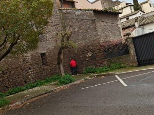 Viterbo – I commercianti: “Un altro Natale senza bagni pubblici”