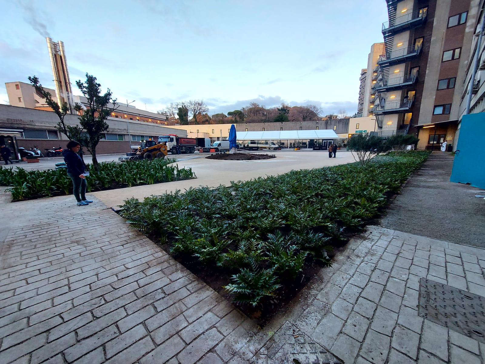 Viterbo – Statua di Santa Rosa all’ingresso di Belcolle, dubbi dei cittadini: “I malati per entrare voleranno?”