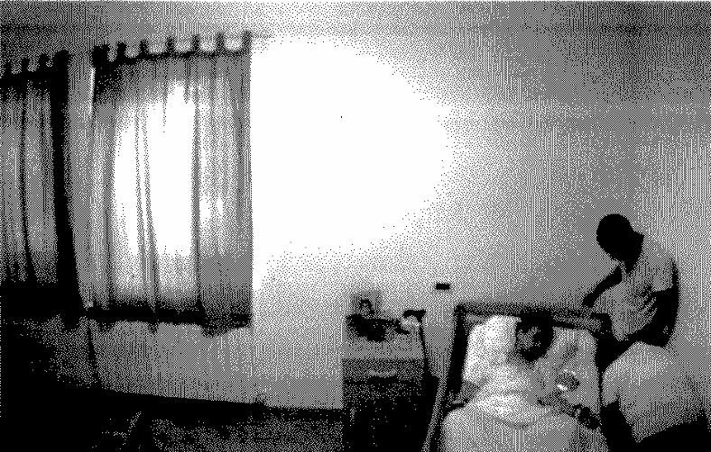 Latera – Ospizio degli orrori, i tre detenuti oggi in aula al Tribunale del Riesame